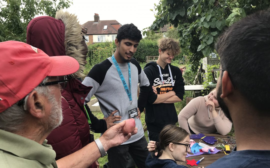 Allotment Project For NCS The Challenge
