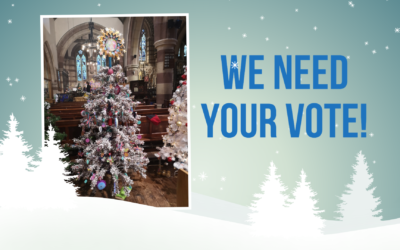 Entry To Festival Of Christmas Trees